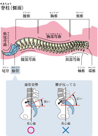 金岡 恒治 睡眠研究家コラム 睡眠ラボ 睡眠の質を高めるマットレスパッド エアウィーヴ