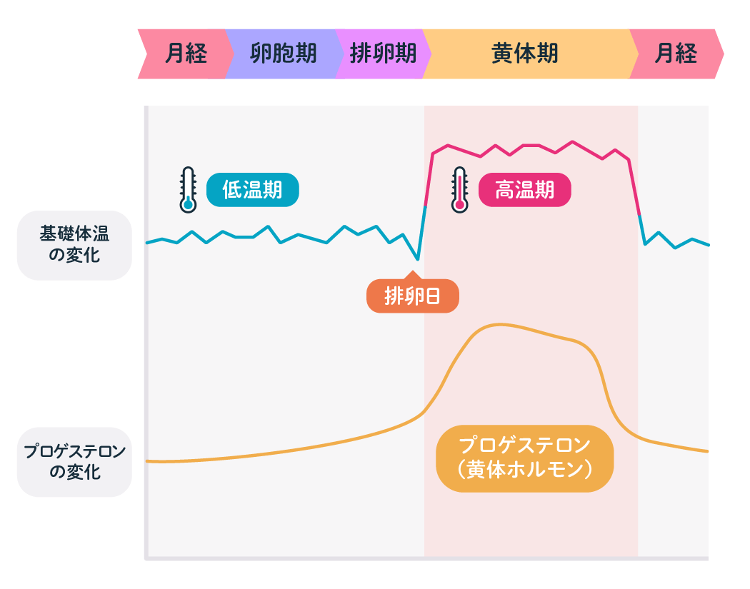 ＜図1＞月経周期と基礎体温のグラフ