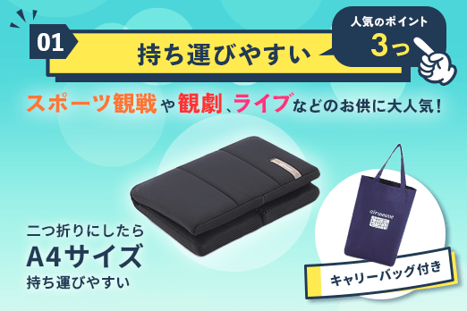 エアウィーヴ キャリークッションmini 人気のポイント①